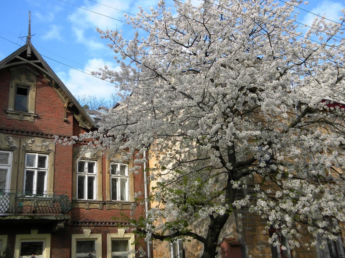 Studios At Anchevskih 3 Lviv Luaran gambar