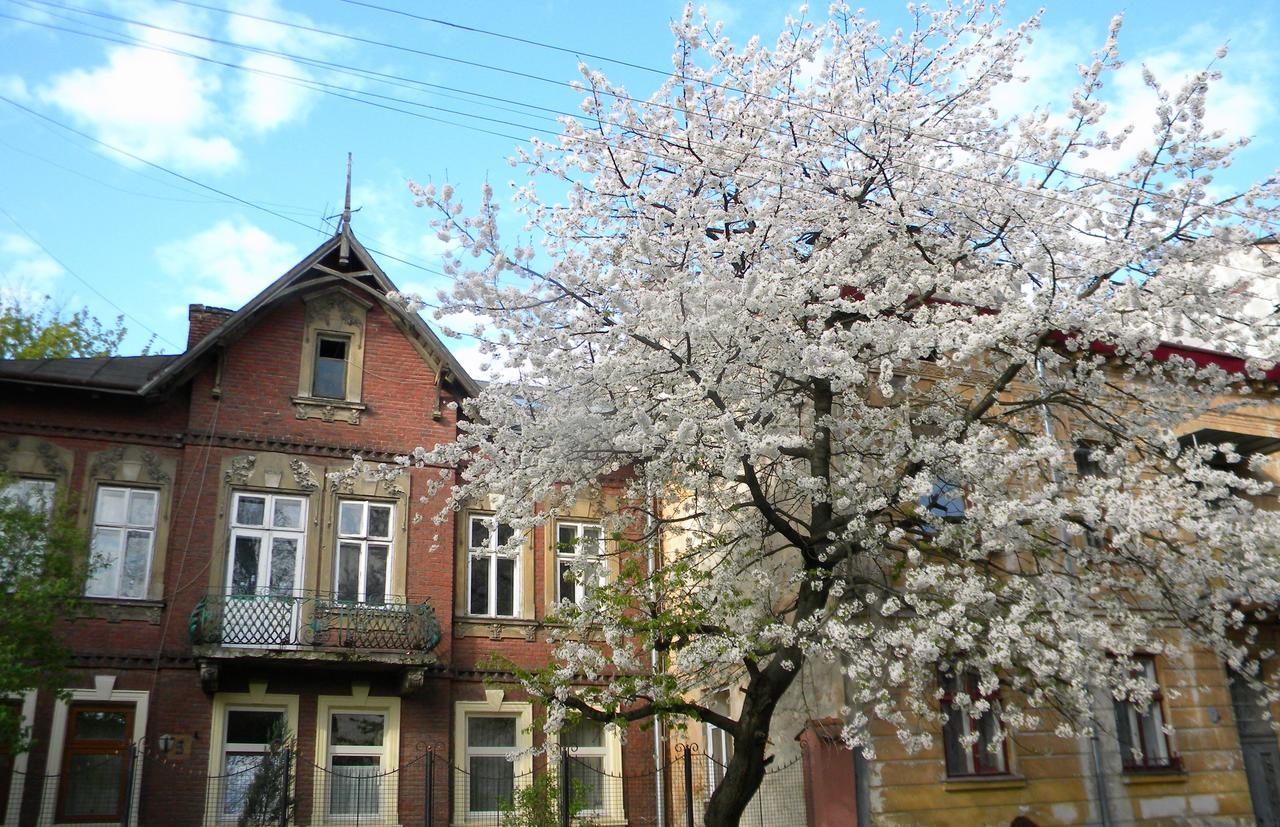 Studios At Anchevskih 3 Lviv Luaran gambar