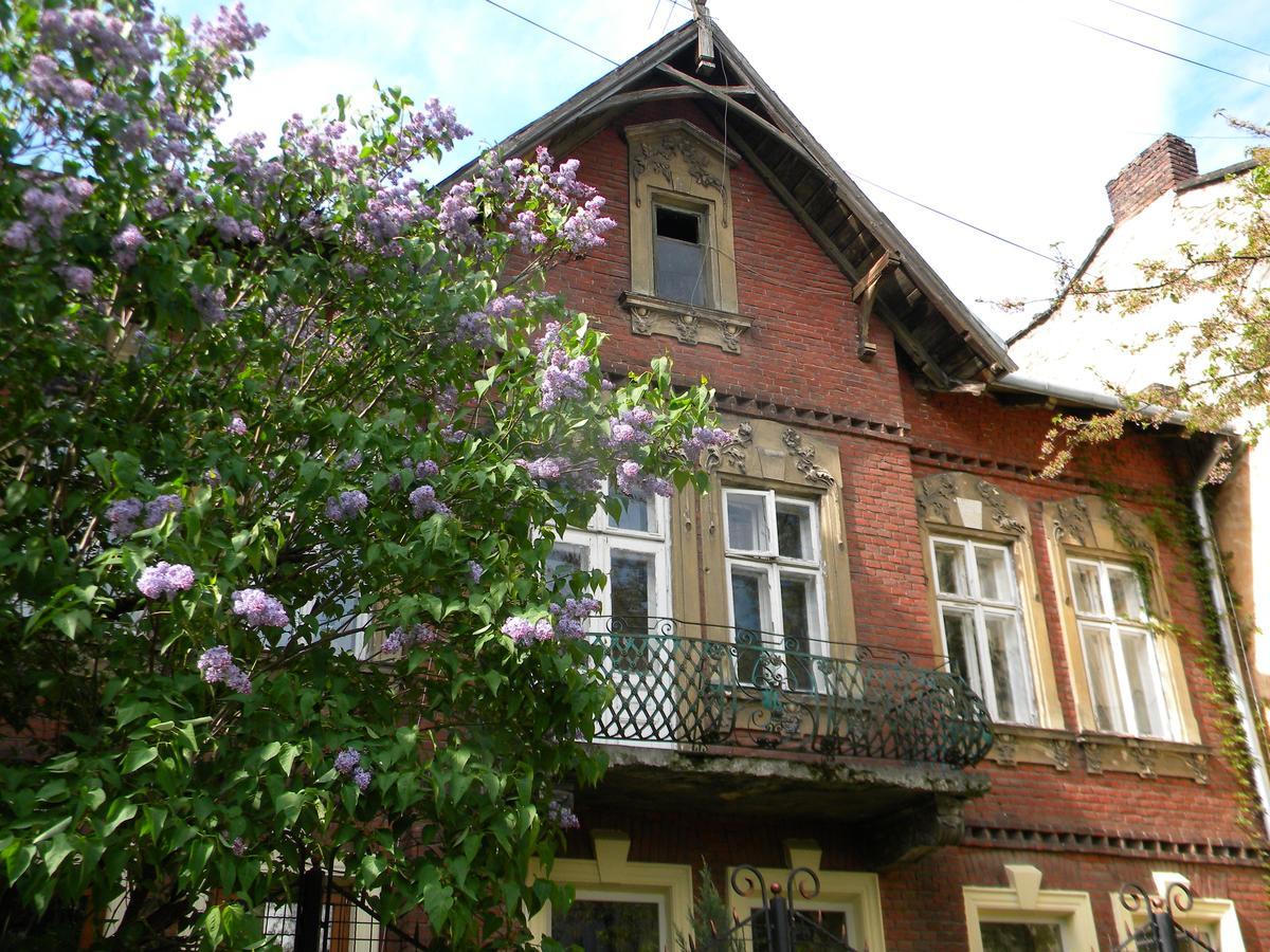 Studios At Anchevskih 3 Lviv Luaran gambar